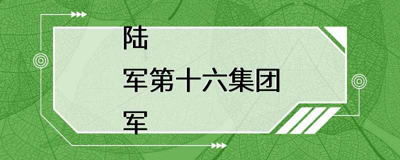 陆军第十六集团军