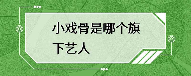 小戏骨是哪个旗下艺人