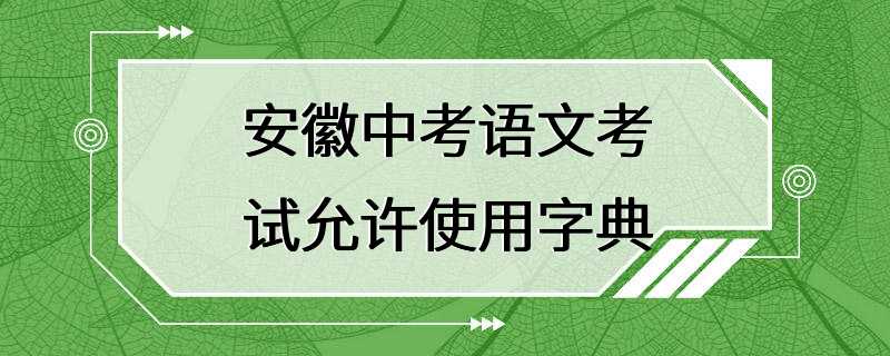 安徽中考语文考试允许使用字典