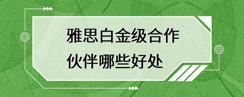 雅思白金级合作伙伴哪些好处