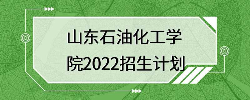 山东石油化工学院2022招生计划