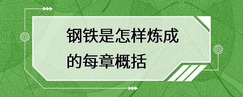 钢铁是怎样炼成的每章概括