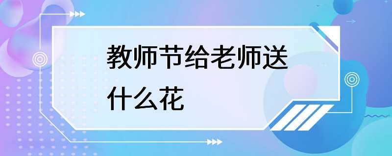 教师节给老师送什么花