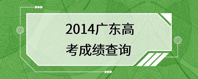 2014广东高考成绩查询