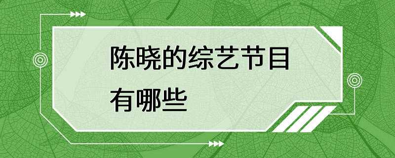 陈晓的综艺节目有哪些