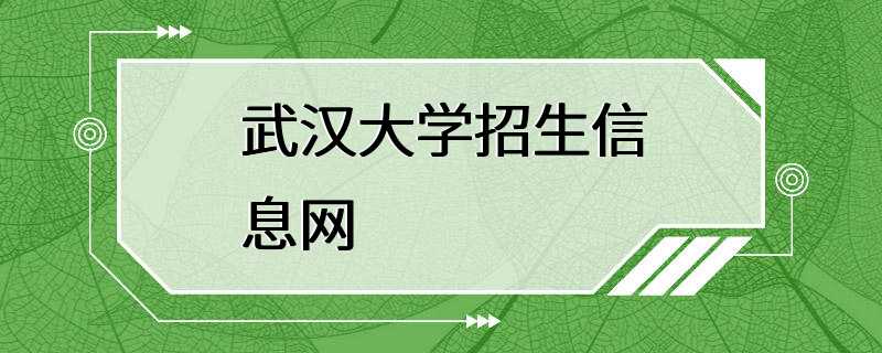 武汉大学招生信息网