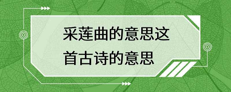 采莲曲的意思这首古诗的意思