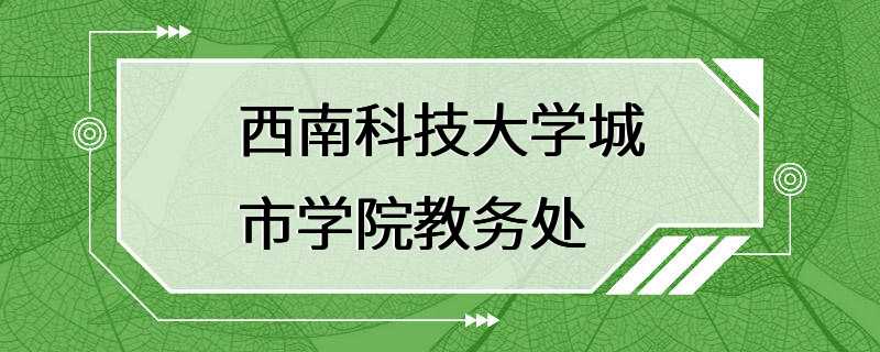 西南科技大学城市学院教务处