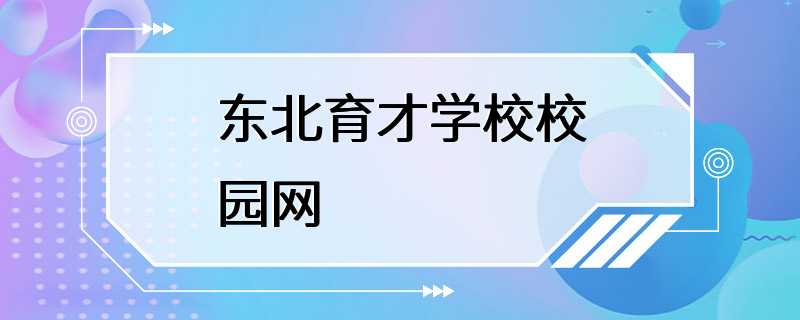 东北育才学校校园网