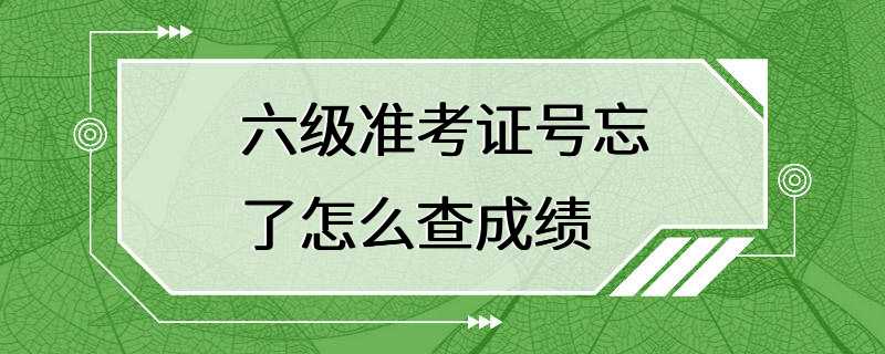 六级准考证号忘了怎么查成绩