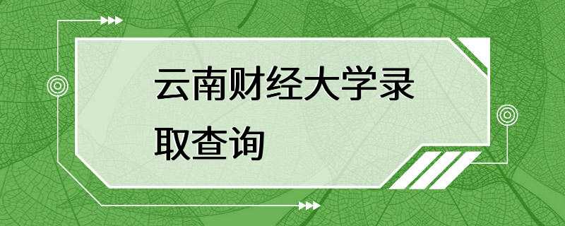 云南财经大学录取查询