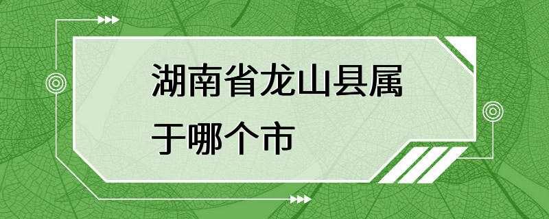 湖南省龙山县属于哪个市