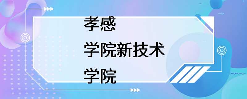 孝感学院新技术学院