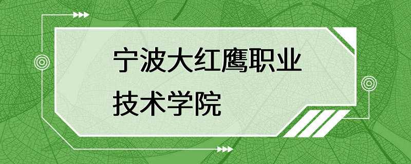 宁波大红鹰职业技术学院