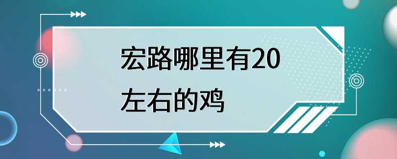 宏路哪里有20左右的鸡