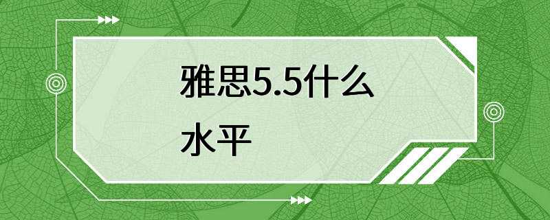 雅思5.5什么水平