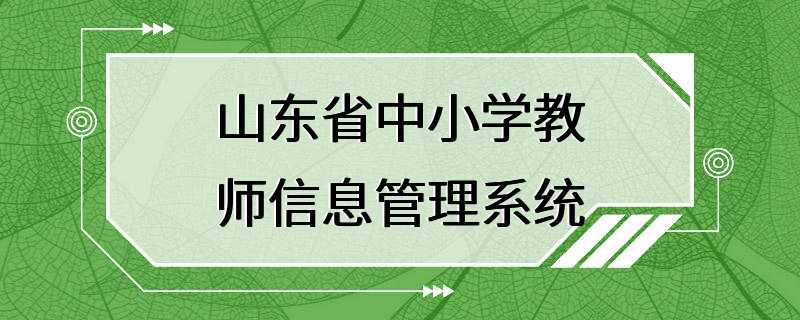 山东省中小学教师信息管理系统