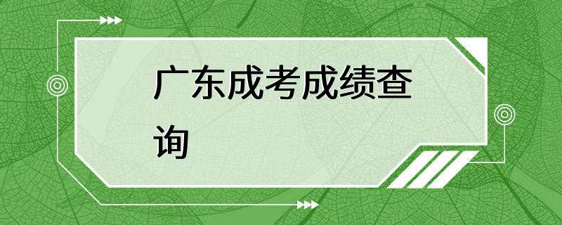 广东成考成绩查询