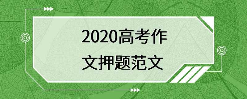 2020高考作文押题范文