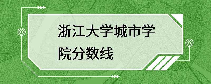 浙江大学城市学院分数线