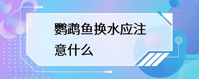 鹦鹉鱼换水应注意什么