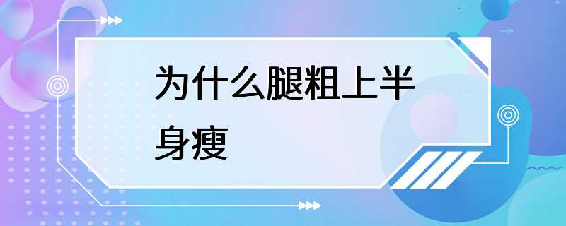 为什么腿粗上半身瘦