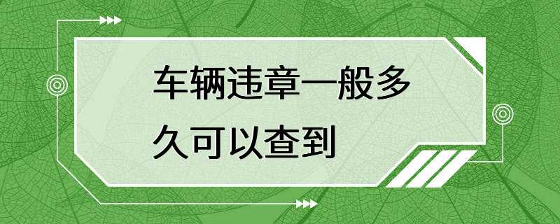 车辆违章一般多久可以查到