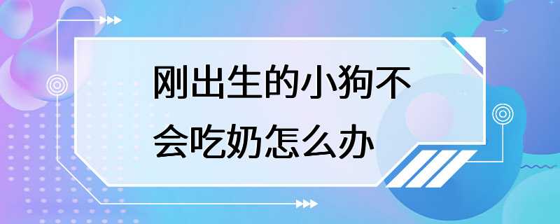 刚出生的小狗不会吃奶怎么办