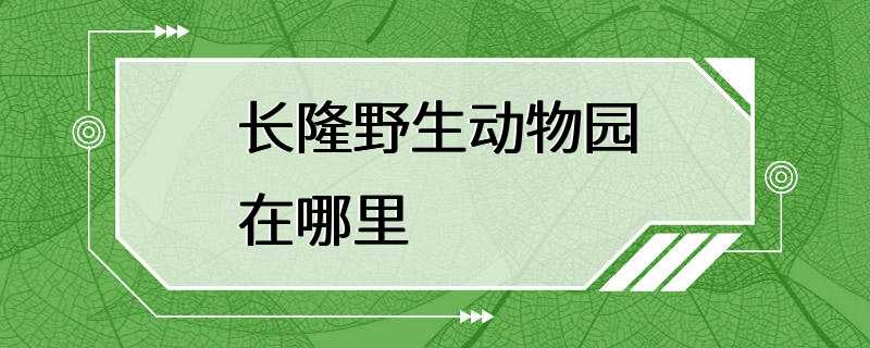 长隆野生动物园在哪里