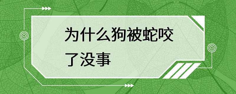 为什么狗被蛇咬了没事