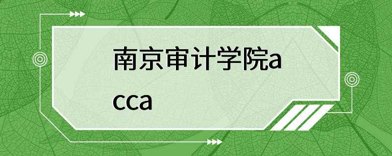 南京审计学院acca