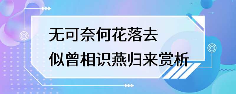 无可奈何花落去似曾相识燕归来赏析