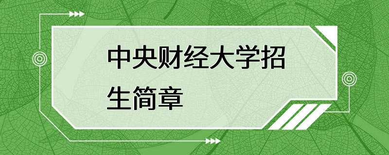 中央财经大学招生简章