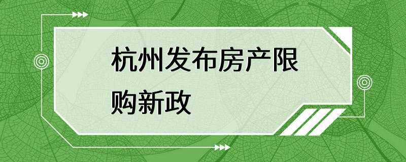 杭州发布房产限购新政