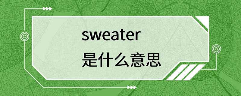 sweater是什么意思