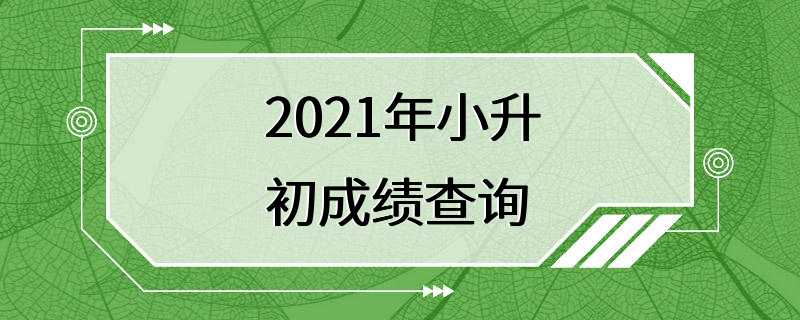 2021年小升初成绩查询