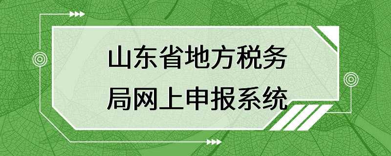 山东省地方税务局网上申报系统