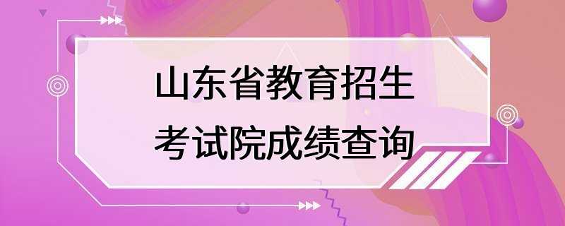 山东省教育招生考试院成绩查询