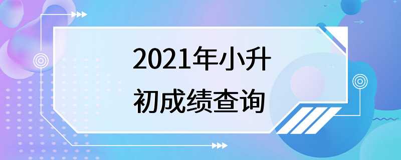 2021年小升初成绩查询