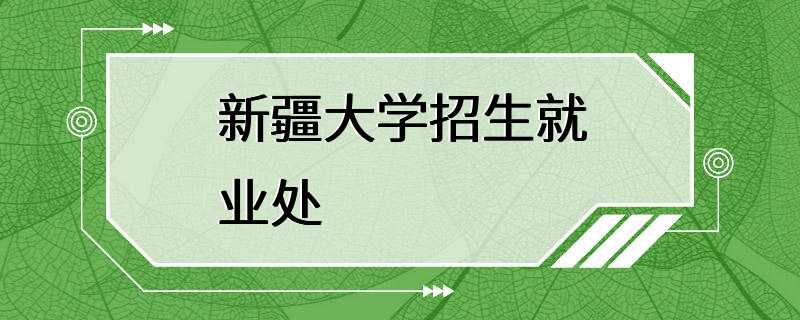 新疆大学招生就业处