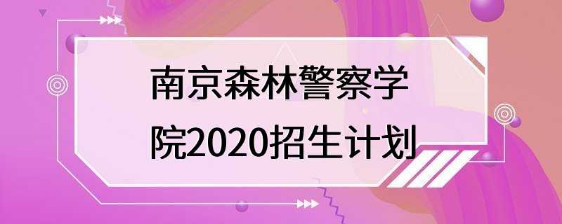 南京森林警察学院2020招生计划