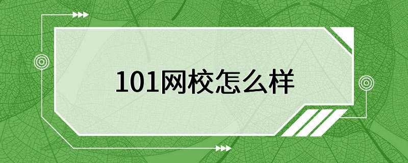 101网校怎么样