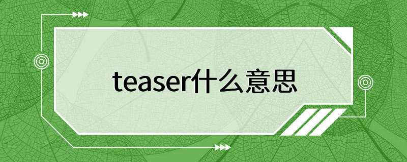 teaser什么意思