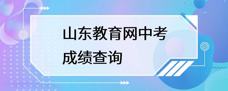 山东教育网中考成绩查询