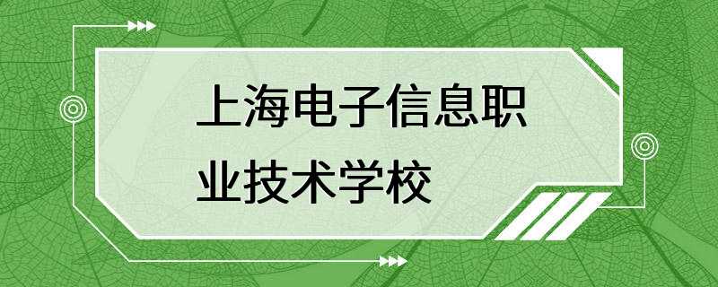 上海电子信息职业技术学校