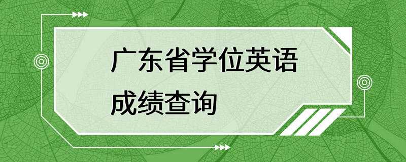 广东省学位英语成绩查询