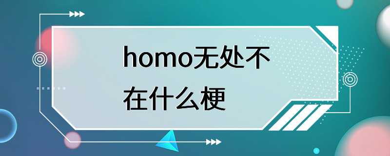 homo无处不在什么梗