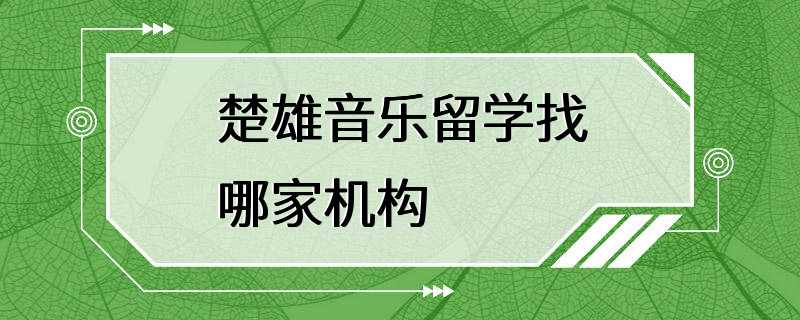 楚雄音乐留学找哪家机构