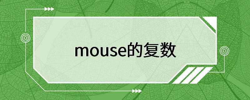 mouse的复数