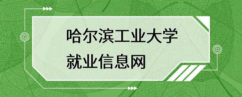 哈尔滨工业大学就业信息网